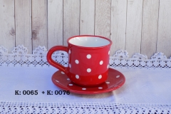 DSCN0849